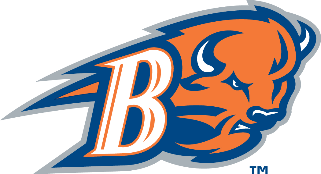 Bucknell Bison 2002-Pres Alternate Logo v2 iron on transfers for clothing